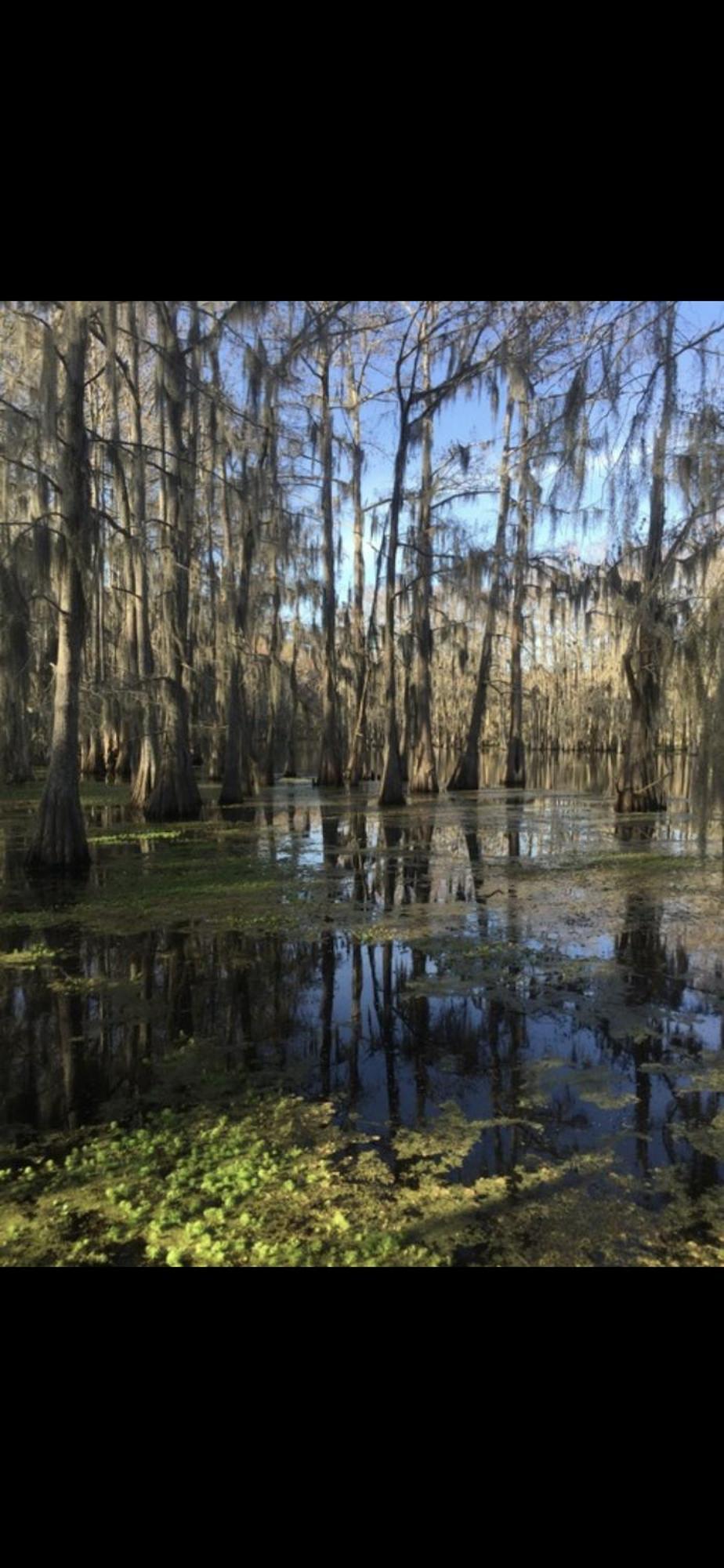 Bayou And Beyond: The Perfect Stay Monroe Exterior foto